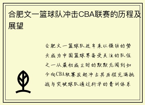 合肥文一篮球队冲击CBA联赛的历程及展望