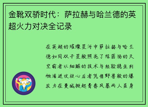 金靴双骄时代：萨拉赫与哈兰德的英超火力对决全记录