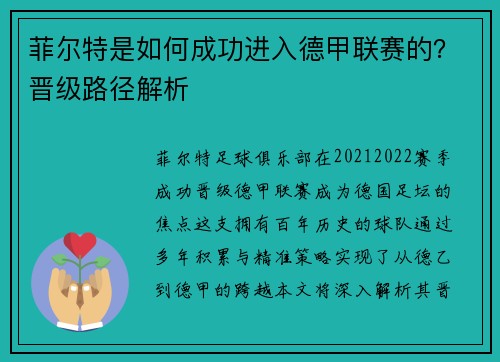 菲尔特是如何成功进入德甲联赛的？晋级路径解析